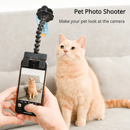Purrfect Pet Kingdom® - Pet Photo Artifacts Cats Dogs Look At The Lens Toy Cell - 4