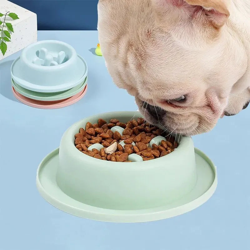 Purrfect Pet Kingdom® - Pet Slow Eating Feeder Dog Feeding Food Bowls Anti-Chocking - Slow Feeder Bowls