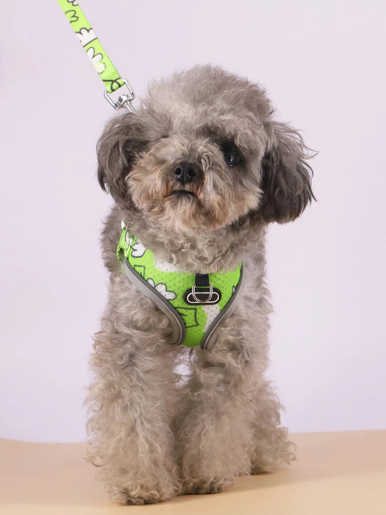 Purrfect Pet Kingdom® - Pet's Chest-back Traction Dog Walking Chest Strap - 0