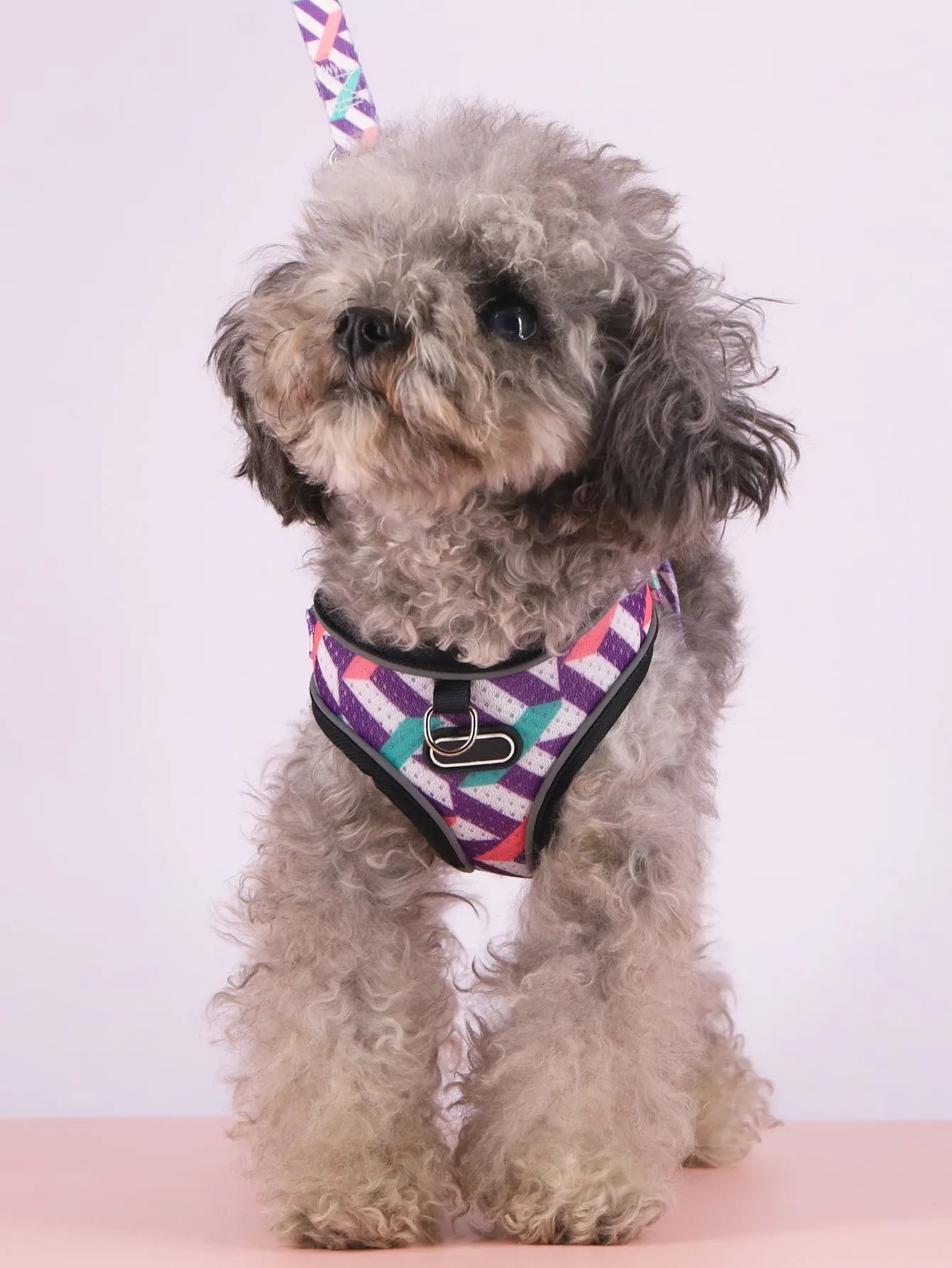 Purrfect Pet Kingdom® - Pet's Chest-back Traction Dog Walking Chest Strap - 0