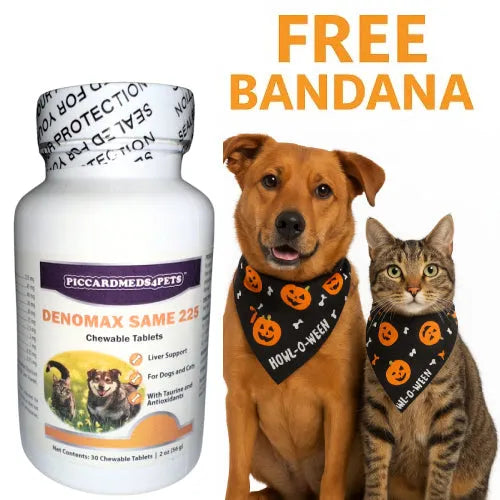 Purrfect Pet Kingdom® - Piccardmeds4pets Denomax Same 225 for Dogs and Cats 30 Count - Dog Supplements