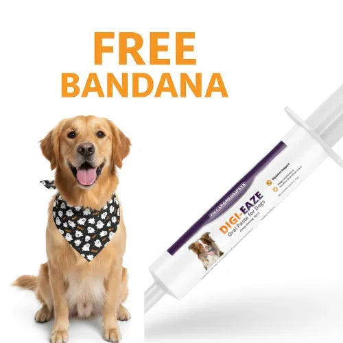 Purrfect Pet Kingdom - Piccardmeds4pets Digi-Eaze Probiotic Paste for Dogs Easy Dosing 30cc + FREE Bandana! - Pet Health