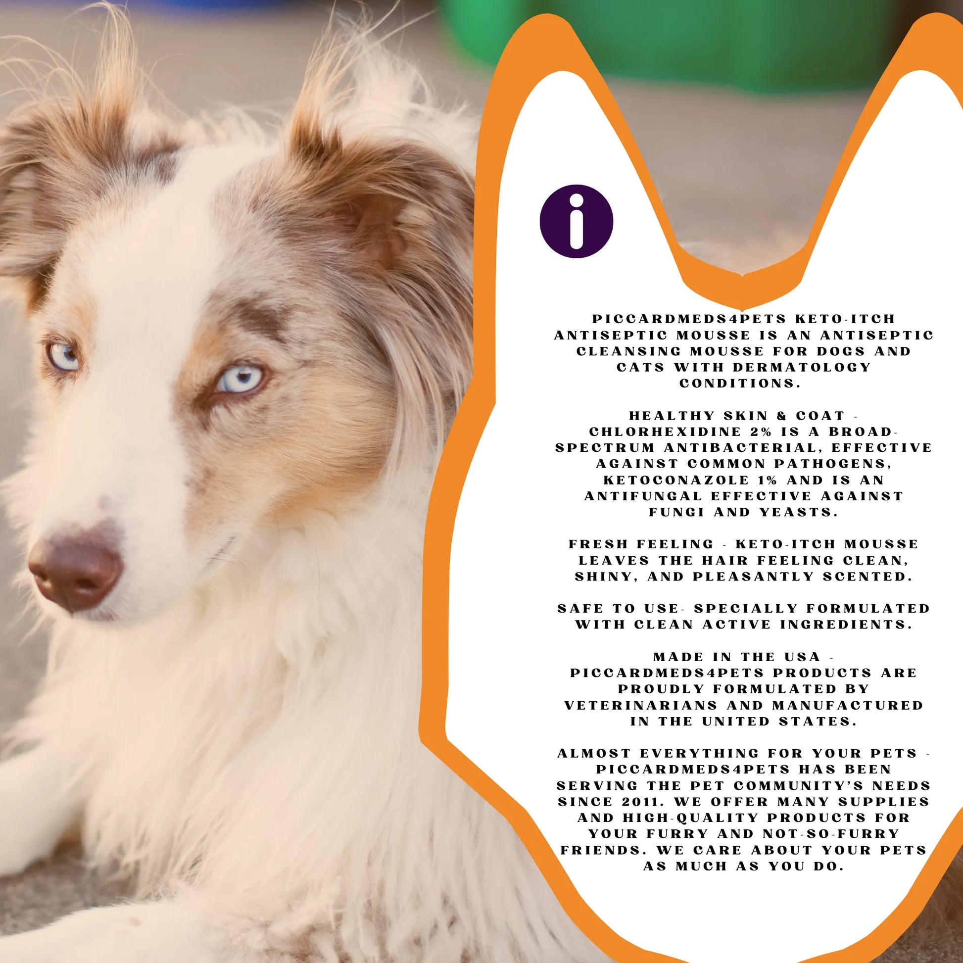 Purrfect Pet Kingdom® - Piccardmeds4pets Keto-Itch Plus Antiseptic Mousse for Cats & - Dog Allergy Relief