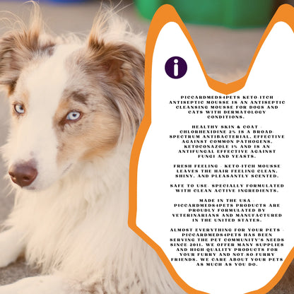 Purrfect Pet Kingdom® - Piccardmeds4pets Keto-Itch Plus Antiseptic Mousse for Cats & - Dog Allergy Relief