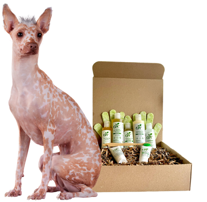 Purrfect Pet Kingdom - Premium Natural Grooming Six Piece Set for Hairless Pets Kit - Pet Grooming