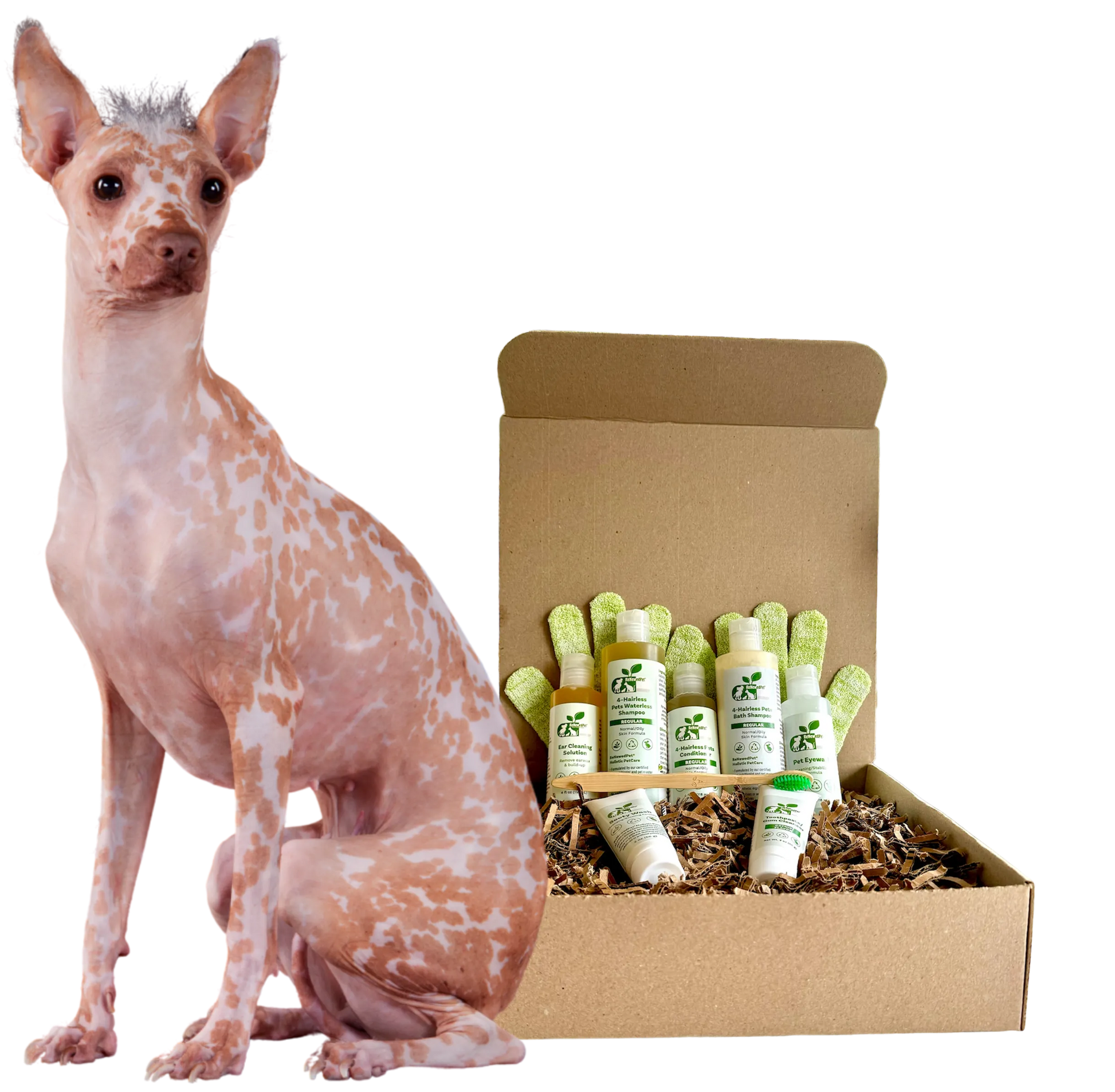 Purrfect Pet Kingdom® - Premium Natural Grooming Six Piece Set for Hairless Pets Kit - Shampoos
