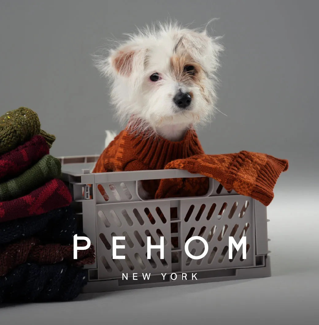 Purrfect Pet Kingdom® - Pretzel Pet Sweater - Olive Green - Pet Sweaters