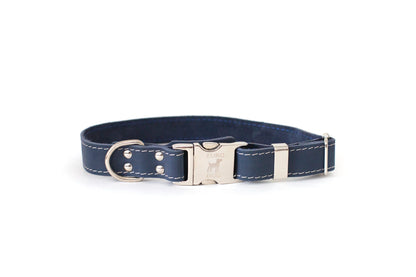 Premium Leather Quick-Release Dog Collar in Classic Blue Jean. Blue leather with silver hardware and white stitching.