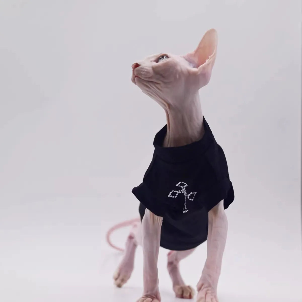 Purrfect Pet Kingdom® - Pure Cotton Sphynx Hairless Cat Stylish Thin Vest Base Layer - Dog Grooming Tools