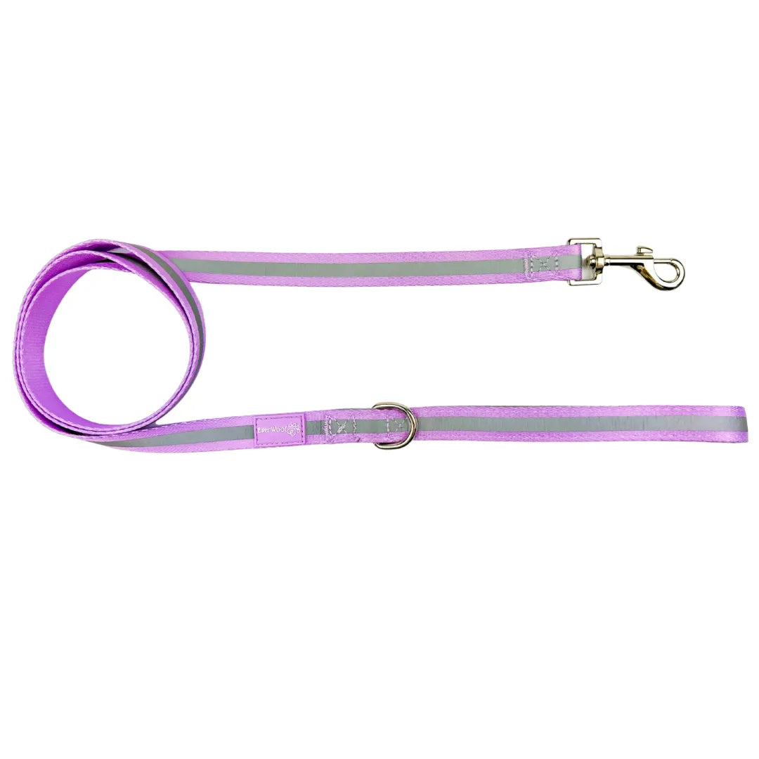 Purrfect Pet Kingdom - Purrfect Pet Kingdom  Shine Bright - Amethyst Leash - Leashes
