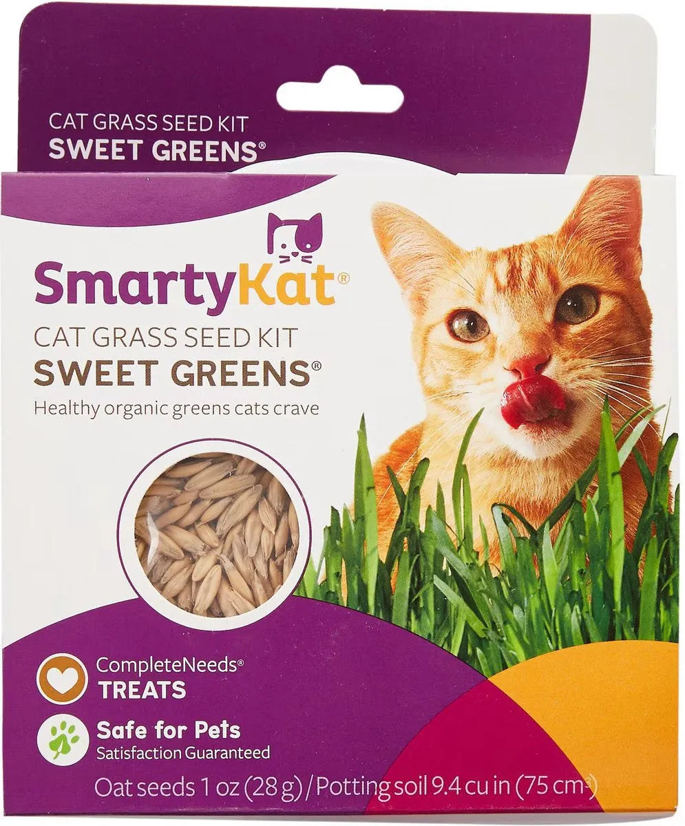 Purrfect Pet Kingdom - Purrfect Pet KingdomSmartyKat Sweet Greens Organic Oat Cat Grass Grow Kit - Cat Grass