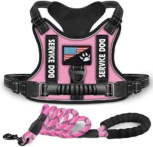 Purrfect Pet Kingdom® - Shock Absorption Comfortable Night Vision Reflective Pet - Dog Harness