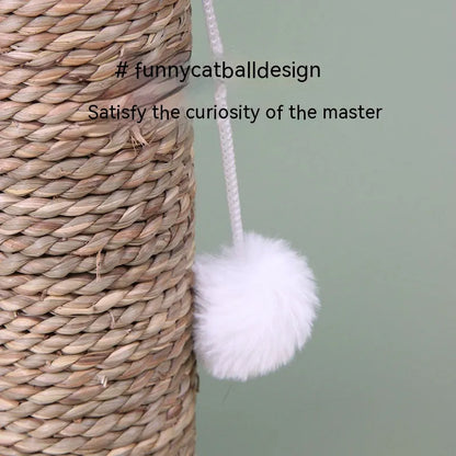 Purrfect Pet Kingdom® - Sisal Cactus Cat Climbing Frame Toy - Cat Scratchers