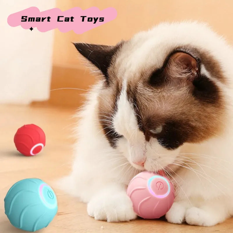 Purrfect Pet Kingdom® - Smart Cat Toys Rolling Ball Pet Cat Owner Interactive Pets - Cat Toys