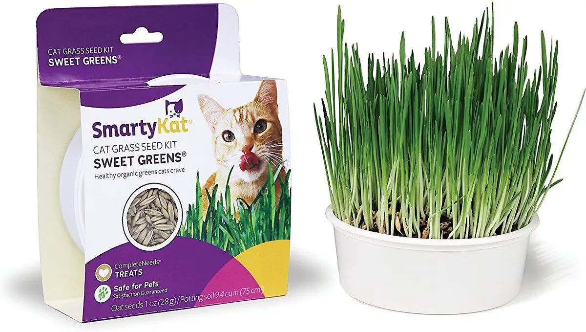 Purrfect Pet Kingdom SmartyKat Sweet Greens Organic Oat Cat Grass Grow Kit in vibrant green, perfect for cats, priced at $...