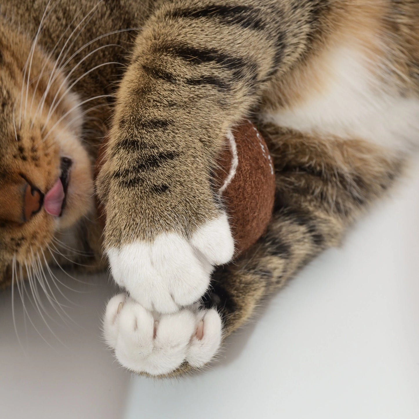 Purrfect Pet Kingdom - So Fetch! Tennis Ball - Brune - Toys