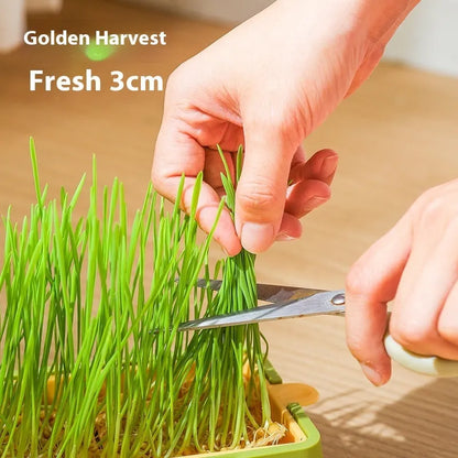 Purrfect Pet Kingdom® - Soilless Hydroponic Wheat Cat Toy Seed Suit - Cat Toys