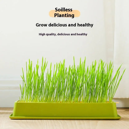 Purrfect Pet Kingdom® - Soilless Hydroponic Wheat Cat Toy Seed Suit - Cat Toys