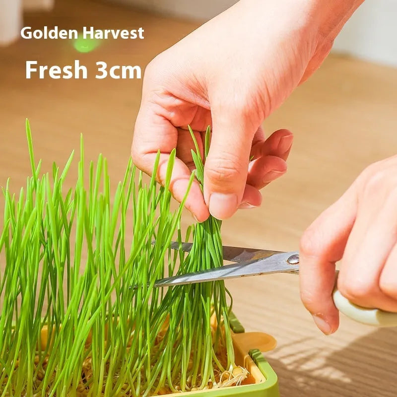 Purrfect Pet Kingdom® - Soilless Hydroponic Wheat Cat Toy Seed Suit - Cat Toys