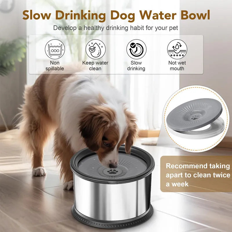 Purrfect Pet Kingdom® - Stainless Steel Large Capacity Pet Non-slip Splash-proof - Bowls