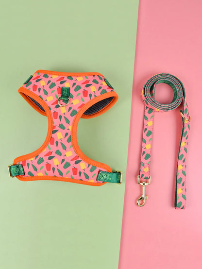 Purrfect Pet Kingdom® - Summer Cute Pet's Chest-back Haulage Rope Package Suitable - Dog Harness