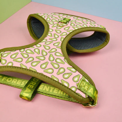 Purrfect Pet Kingdom® - Summer Cute Pet's Chest-back Haulage Rope Package Suitable - Dog Harness