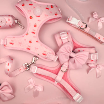 Purrfect Pet Kingdom - Sweet Ch?rie Collar - Pet Collars & Harnesses