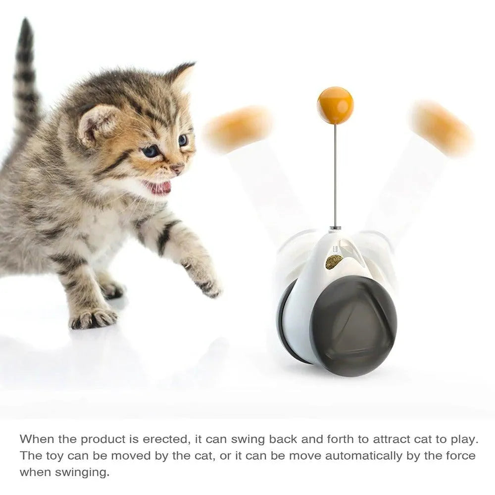 Purrfect Pet Kingdom® - Swing Toys for Cats Kitten Interactive Balance Car Cat Chasing Toy With Catnip Funny Pet Products ...