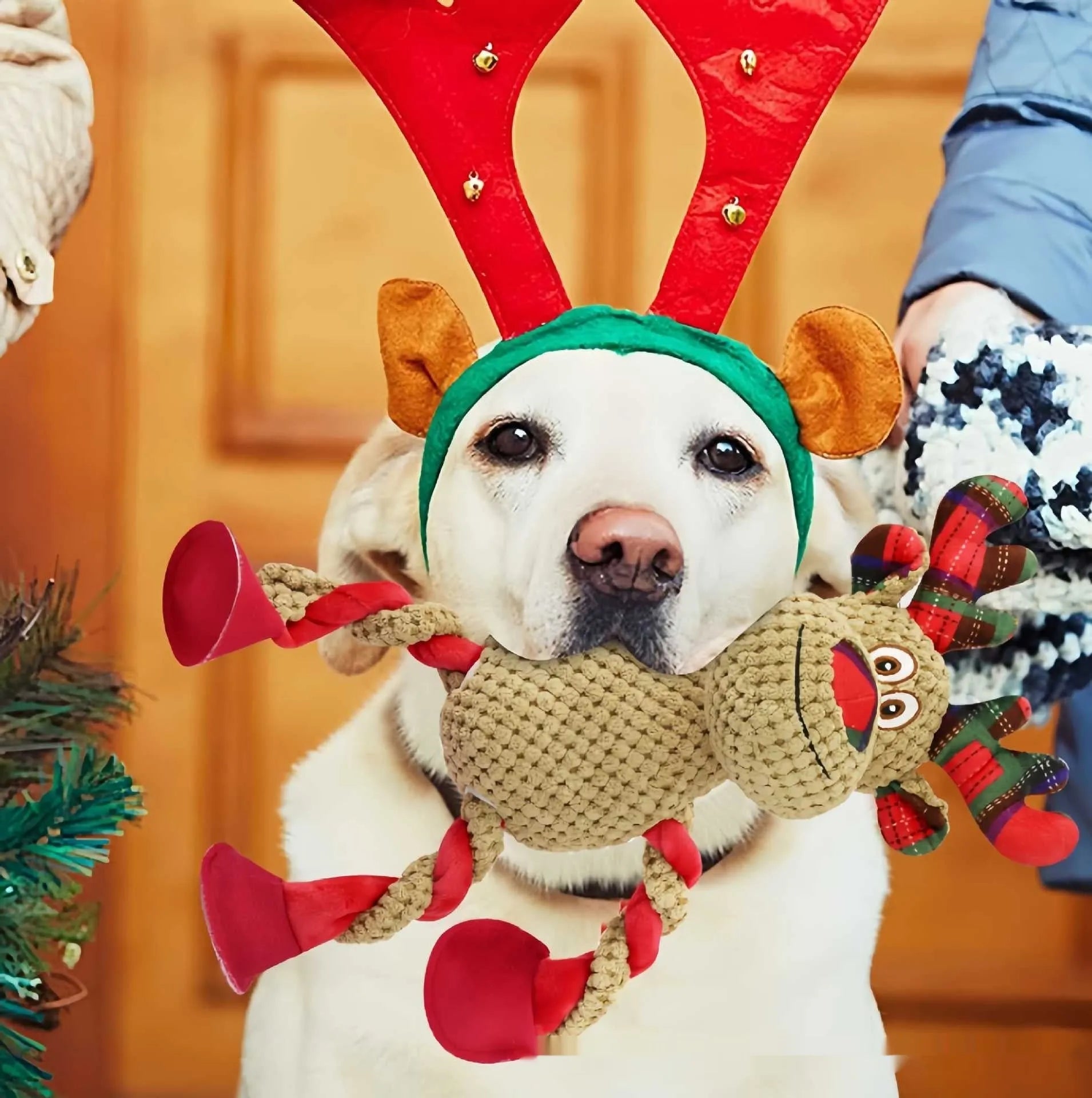 Purrfect Pet Kingdom® - Teething And Dental-cleaning Pet Christmas Toy - 0