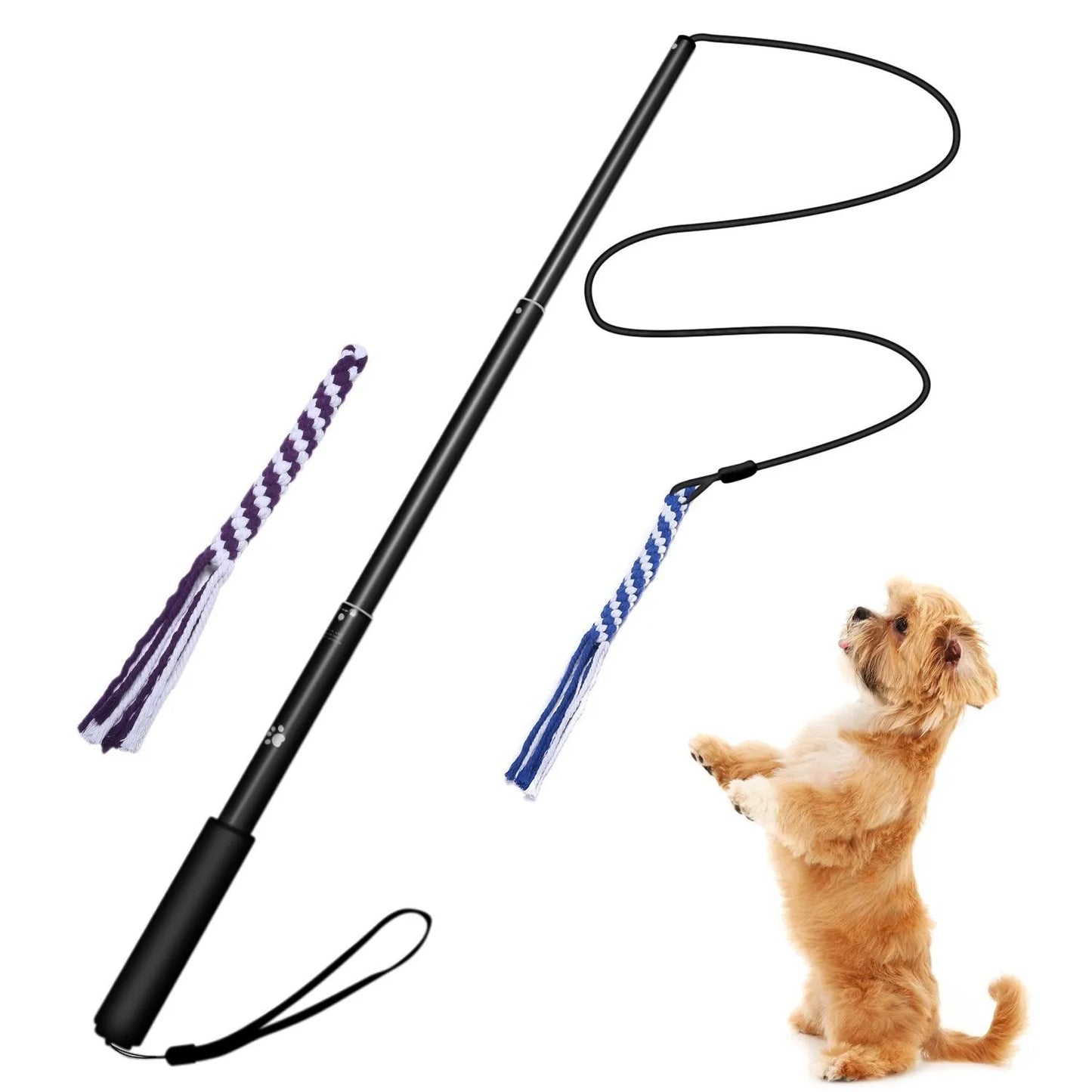 Purrfect Pet Kingdom® - Telescopic Funny Dog Stick Cat Teaser Pet Training Rod - Cat Toys