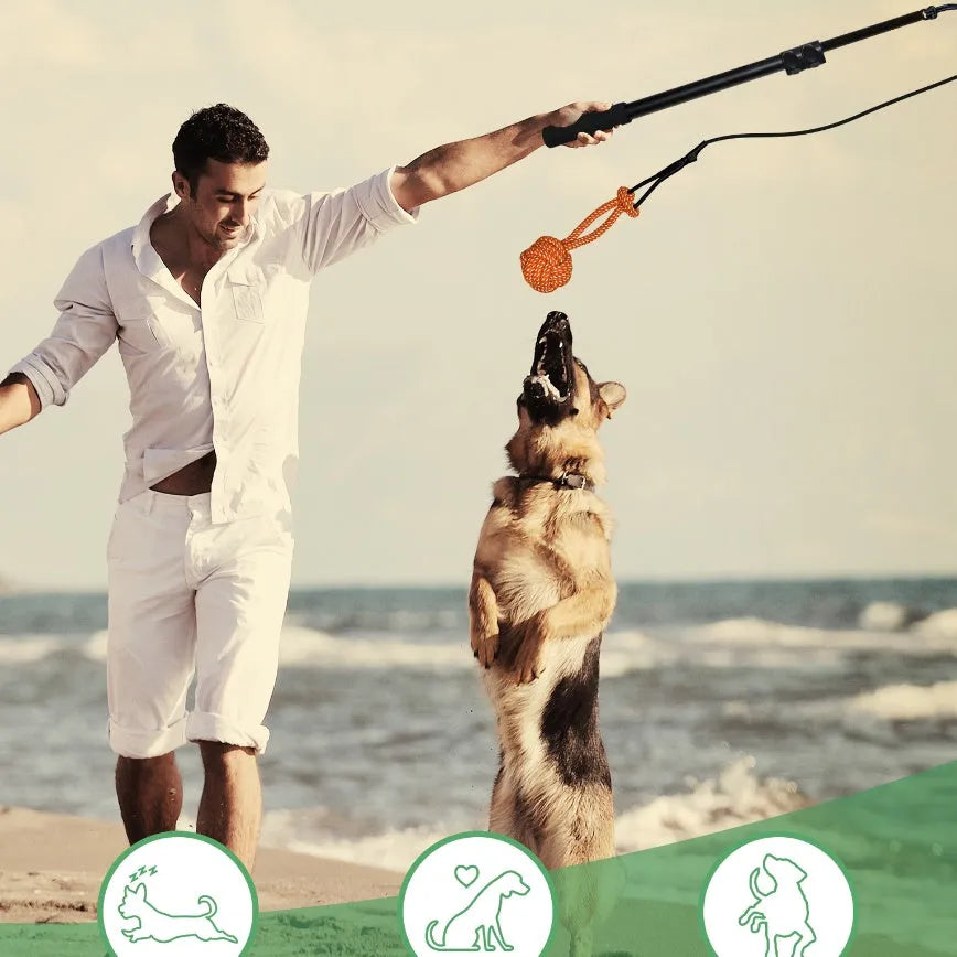 Purrfect Pet Kingdom® - Telescopic Funny Dog Stick Cat Teaser Pet Training Rod - Cat Toys