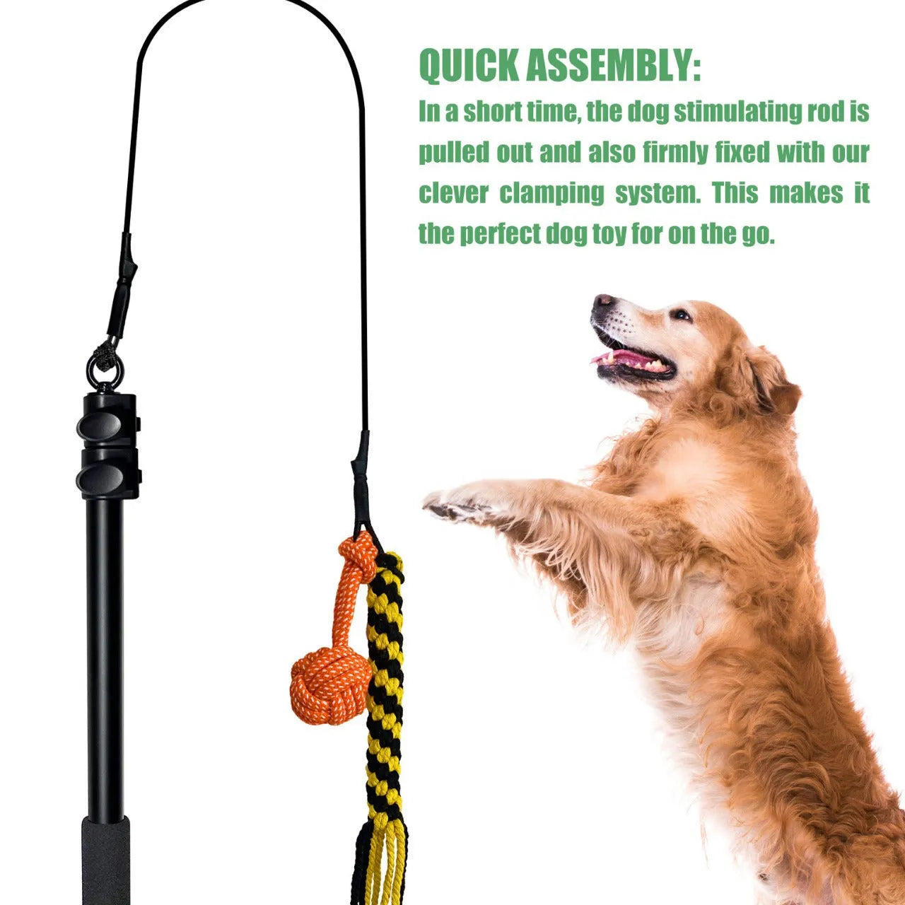 Purrfect Pet Kingdom® - Telescopic Stick Dog Teasing Rod Toy Pet - Dog Toys
