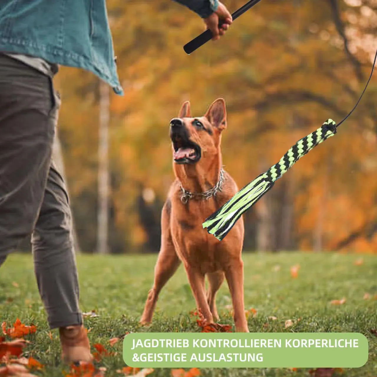 Purrfect Pet Kingdom® - Telescopic Stick Dog Teasing Rod Toy Pet - Dog Toys