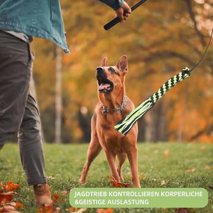 Purrfect Pet Kingdom® - Telescopic Stick Dog Teasing Rod Toy Pet - Dog Toys