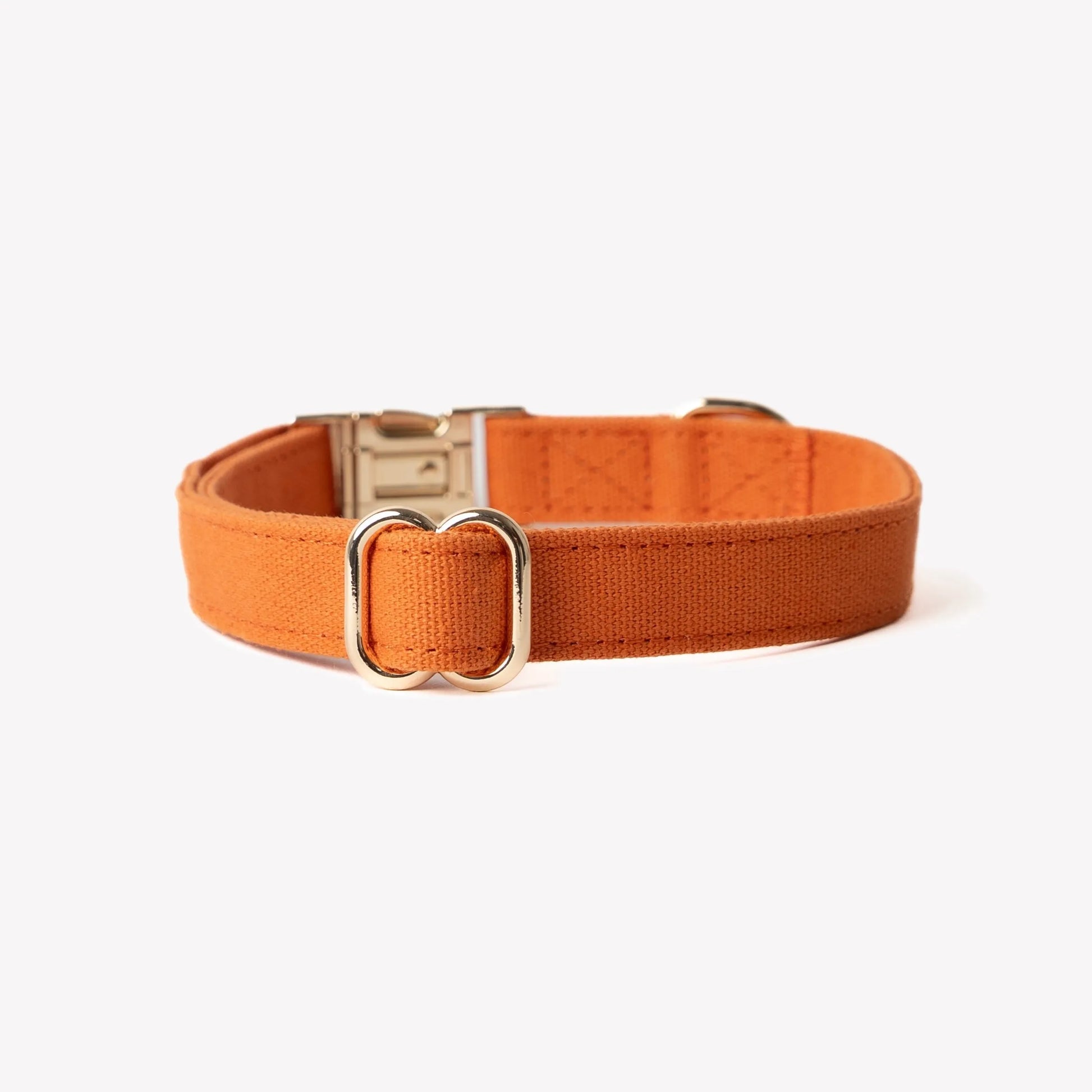 Purrfect Pet Kingdom terracotta canvas dog collar in small, medium, and large sizes, perfect for stylish dogs.