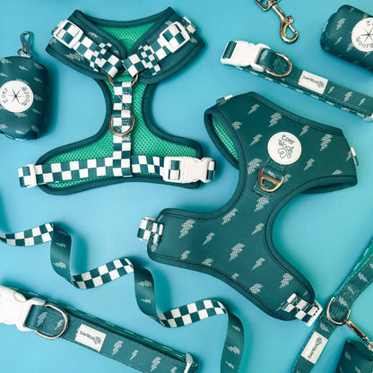 Thunderstruck Adjustable Dog Harness Breathable Neoprene Fit by Purrfect Pet Kingdom. Teal mesh lightning & checkers.