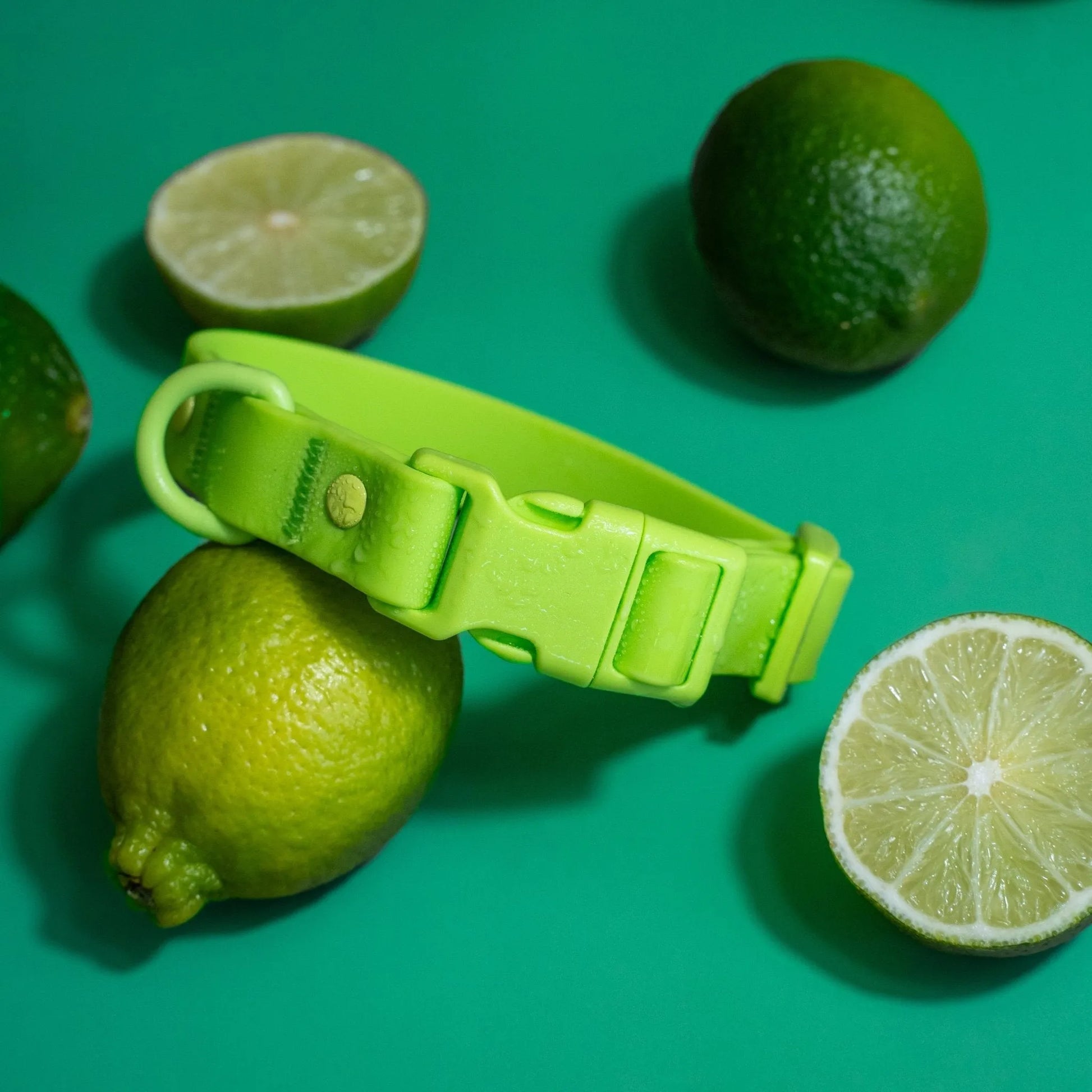 Purrfect Pet Kingdom® - Tilley + Me PVC Dog Collar - All Weather Waterproof Durable - Dog Collars