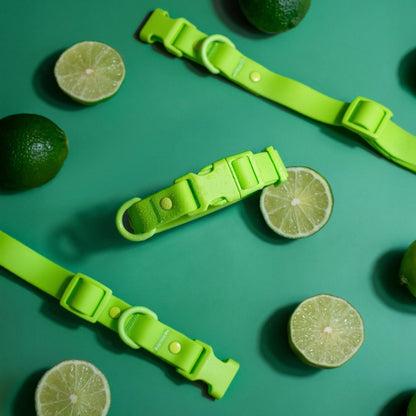 Purrfect Pet Kingdom® - Tilley + Me PVC Dog Collar - All Weather Waterproof Durable - Dog Collars