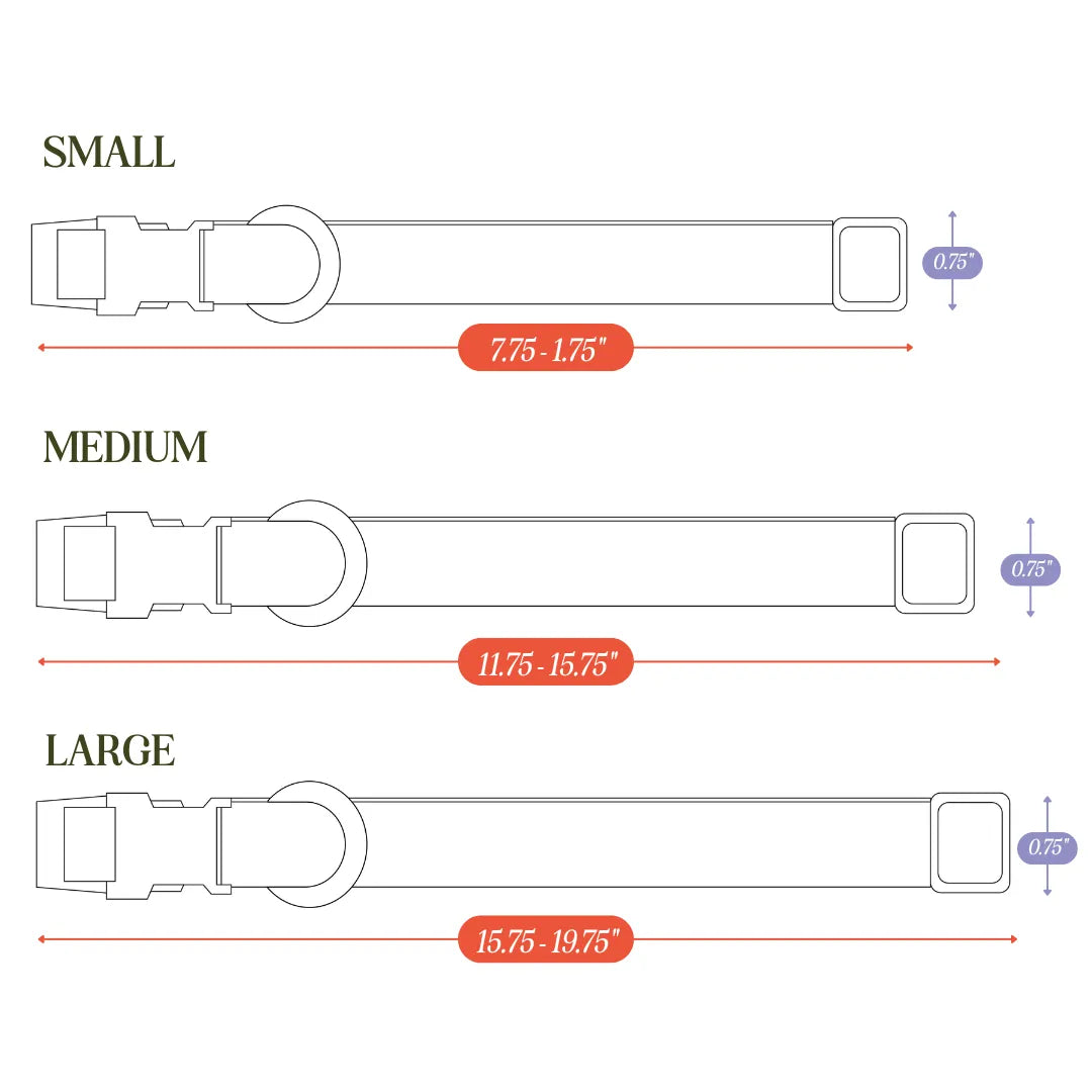 Purrfect Pet Kingdom® - Tilley + Me PVC Dog Collar - All Weather Waterproof Durable - Dog Collars