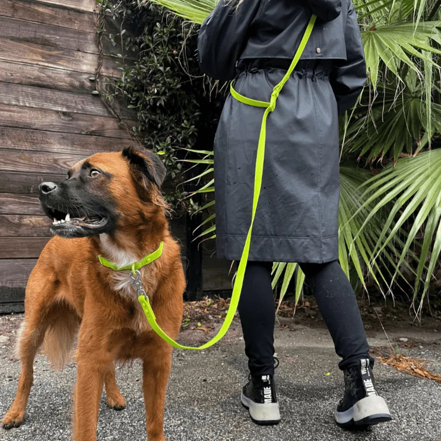 Purrfect Pet Kingdom® - Tilley + Me PVC Dog Collar - All Weather Waterproof Durable - Dog Collars