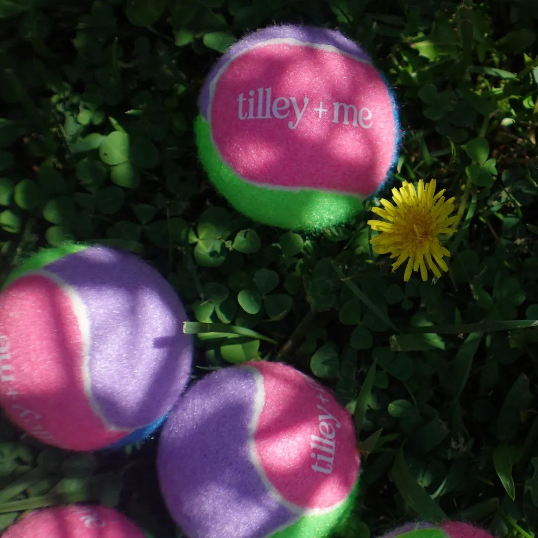 Purrfect Pet Kingdom - Tilley + Me Tennis Ball for Dogs - Toys
