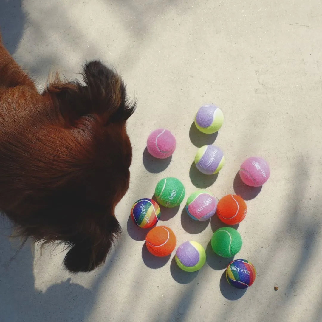 Purrfect Pet Kingdom - Tilley + Me Tennis Ball for Dogs - Toys