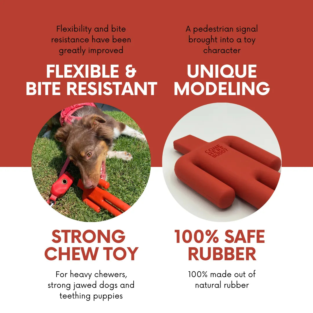 Purrfect Pet Kingdom - Ultra Durable Rubber Dog Toy for Aggressive Chewers by Buddy - Dog Toys