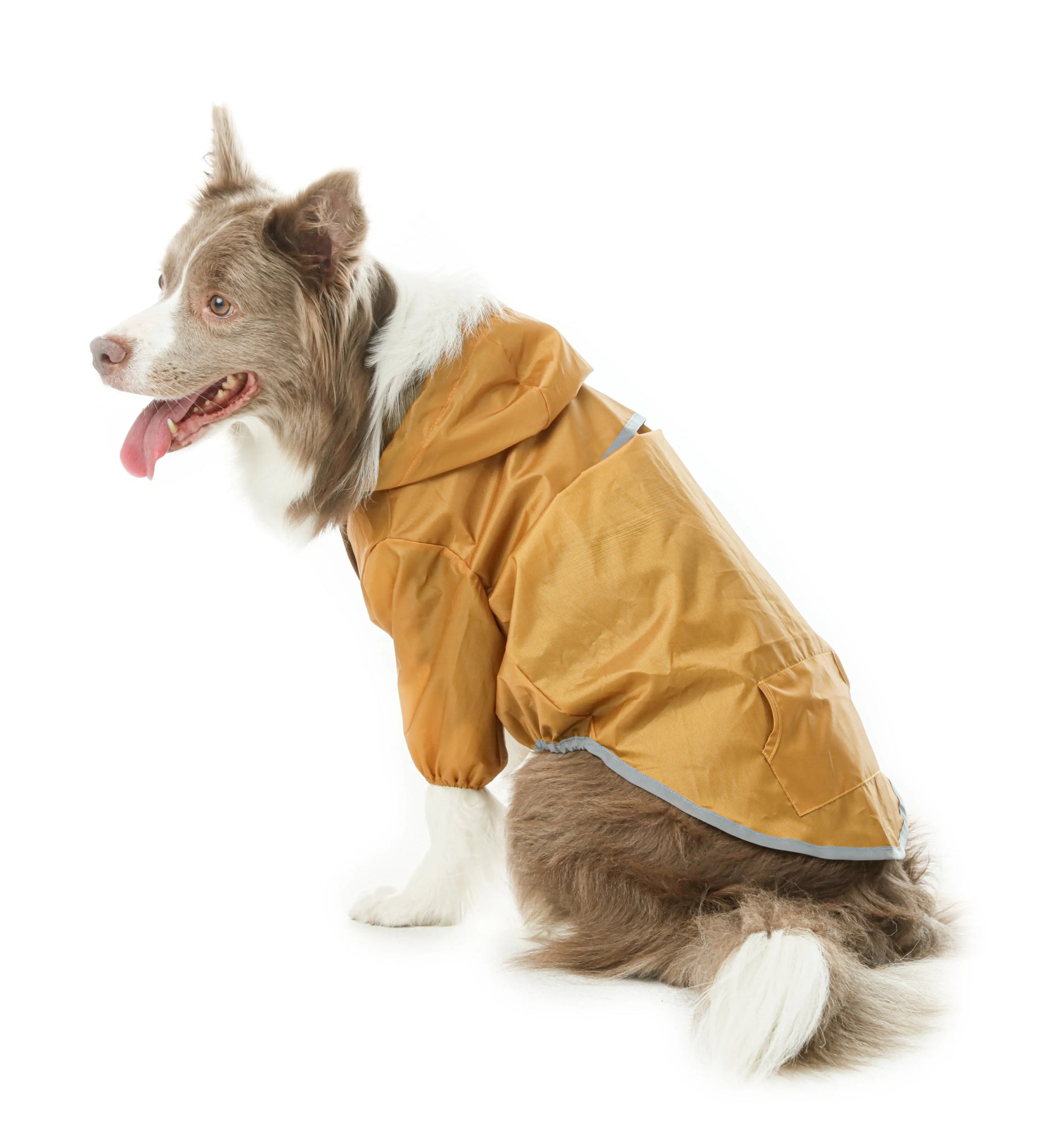Purrfect Pet Kingdom® - Ultralight Full covered hooded waterproof dog jacket - - Pet Rain Coats