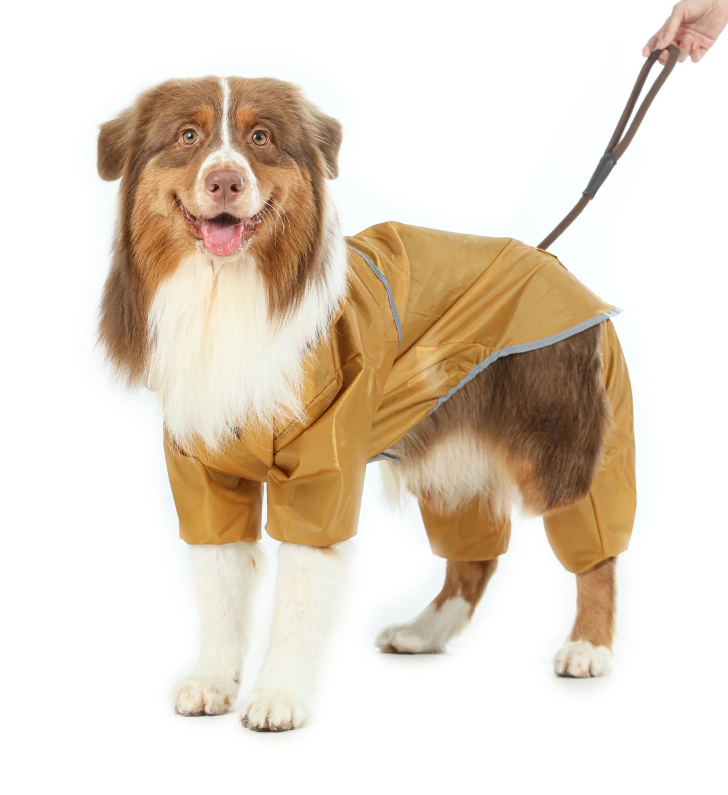 Purrfect Pet Kingdom® - Ultralight Full covered hooded waterproof dog jacket - - Pet Rain Coats