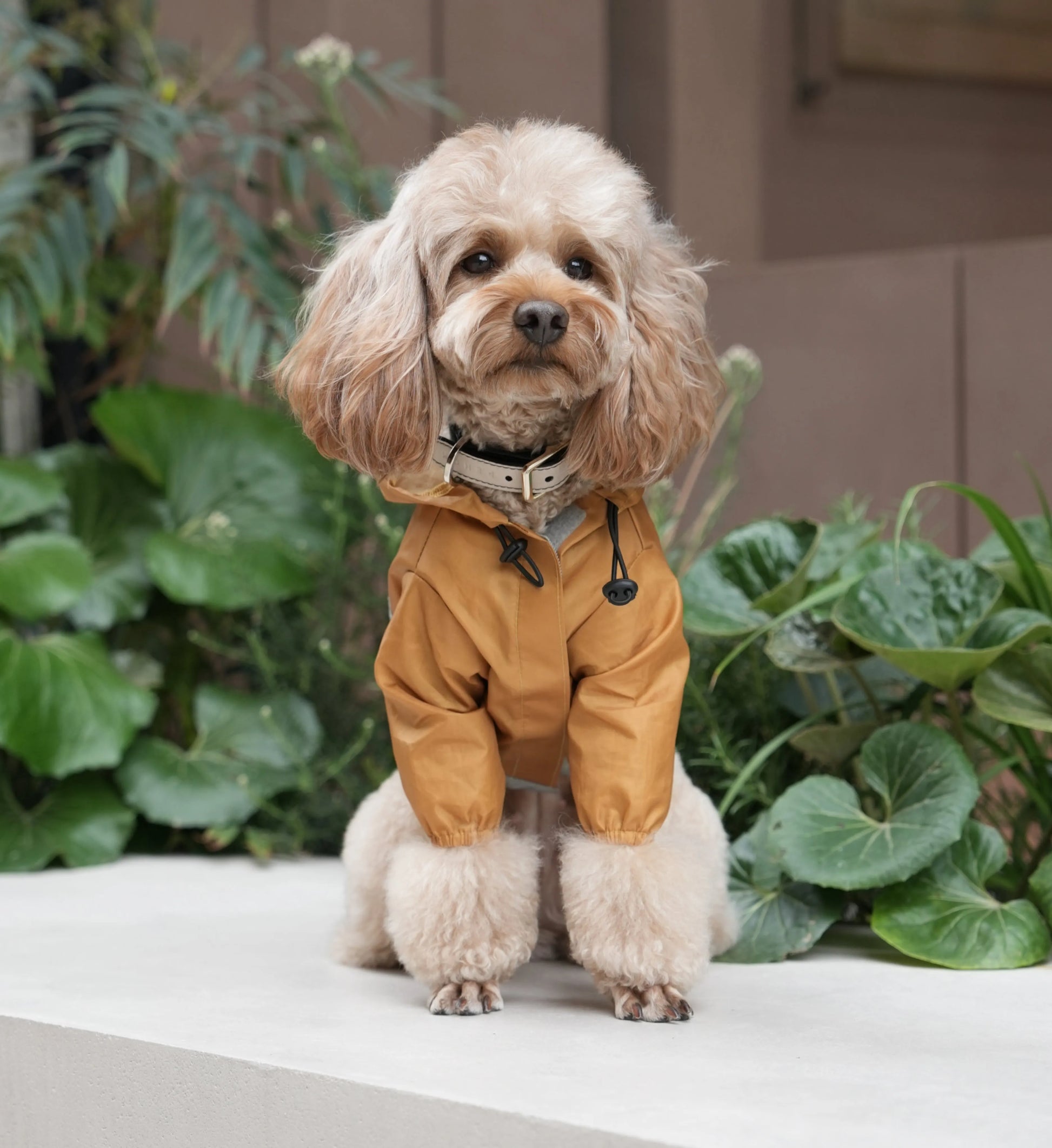 Purrfect Pet Kingdom® - Ultralight Full covered hooded waterproof dog jacket - - Pet Rain Coats