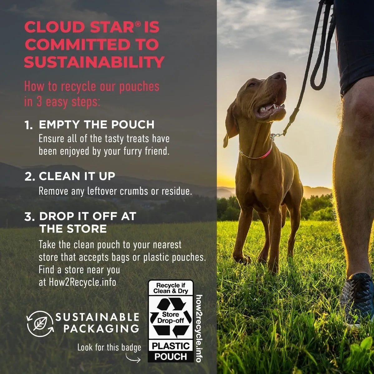 Purrfect Pet Kingdom® - Wagmore Grain Free Chicken Meatball Bites Dog Treats (14oz) - Dog Treats