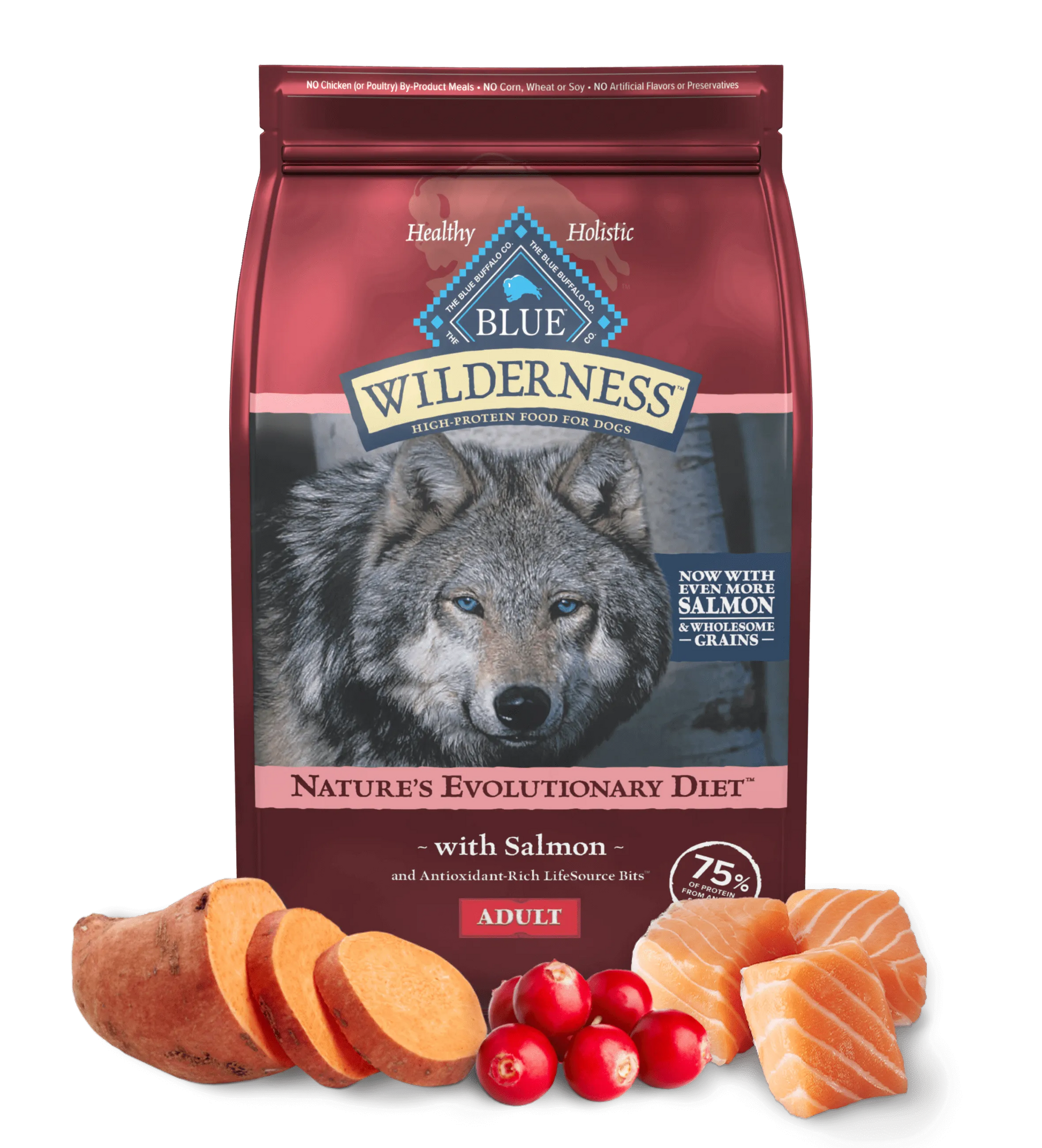 Purrfect Pet Kingdom - Wilderness Salmon Grains Dry Dog - Food
