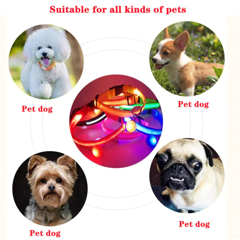 Royal Luminous Safety Pet Collar Adjustable LED Night Visibility 💡👑