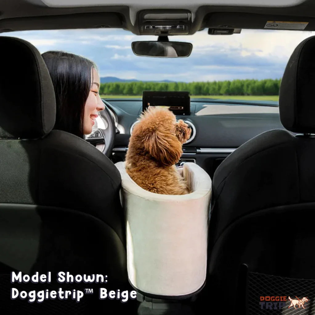 Safety Car Seat For Small Pets - Car Crates - Mimarta - Beige - FLM - 7996456599854 - DoggieTrip - Beige